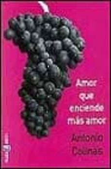 amor que enciende mas amor-9788401590320