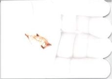 partenope-9788412612820