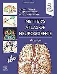 lote netter neurociencia: atlas de neurociencia + cuaderno de neurociencia para colorear-d. l. felten-9788413829920