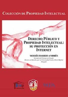 derecho publico y propiedad intelectual: su proteccion en interne t-9788429019520