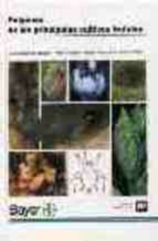 pulgones de los principales cultivos frutales-sebastiano barbagallo-9788471147820