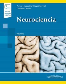 neurociencia (5ª ed.)  (incluye version digital)-9788491107620