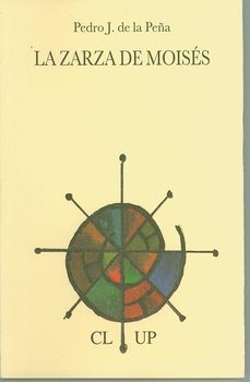 la zarza de moises (premio de poesia jose hierro 2007)-pedro j. de la peña-9788495710420