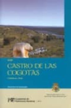 guia castro de las cogotas: cardeñosa, avila (cuadernos de patrim onio abulense nº 4)-rosa ruiz entrecanales-9788496433120