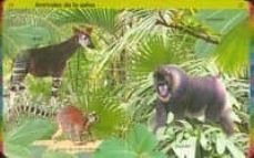 el gran libro de los animales-9788499137520