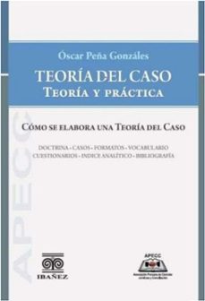 teoria del caso. teoria y practica (ebook)-óscar peña gonzales-4099995594430