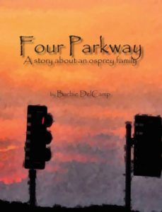 four parkway-9780991264230