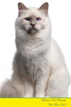 briman cat presents-9781526964830