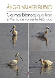 calimas blancas que trae el viento de poniente atlantico (ebook)-9781635037630