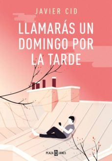 llamaras un domingo por la tarde (ebook)-javier cid-9788401023330