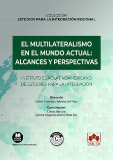 multilateralismo en el mundo actual: alcances y perspectivas-carlos francisco molina del pozo-9788413597430