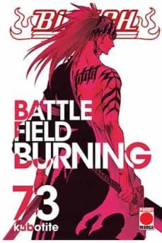 bleach nº 73-9788416986330