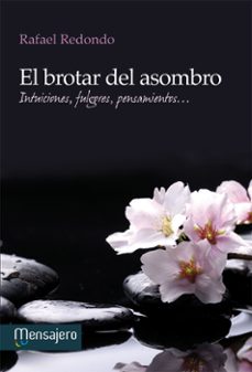 el brotar del asombro-rafael redondo-9788427133730