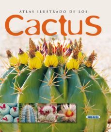 cactus-9788430560530