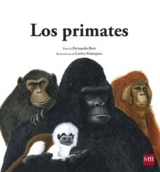 los primates-fernando bort misol-9788467573930