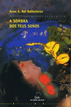 a sombra dos teus soños-9788482882130