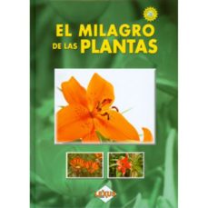 -alberto direccion edito palomino torres-9789588595030