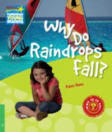 why do raindrops fall? (why? series-non fiction readers- nivel 3)-peter rees-9780521137140