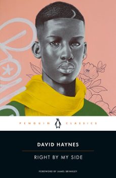 right by my side (ebook)-david haynes-9780593511640