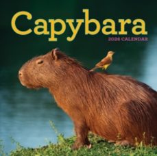 capybara wall calendar 2026-workman calendars-9781523531240