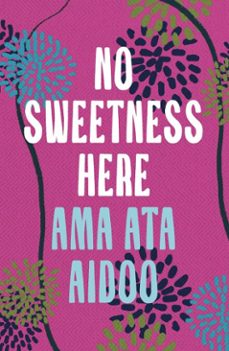 -ama ata aidoo-9781803288840