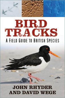 bird tracks (ebook)-john rhyder-david wege-9781803996240