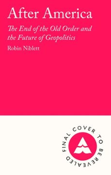 after america (ebook)-robin niblett-9781805466840