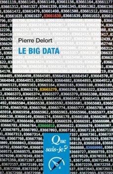le big data (ebook)-pierre delort-9782715433540