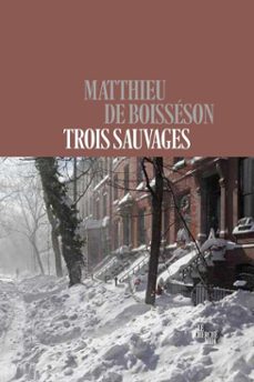 -matthieu de boisséson-9782749185040