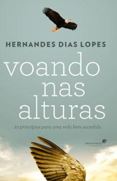 voando nas alturas - 10 principios para uma vida bem sucedida (ebook)-9786586109740