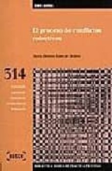 el proceso de conflictos colectivos-maria dolores rubio de medina-9788476767740