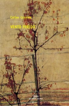 vento ferido-carlos casares-9788482887340