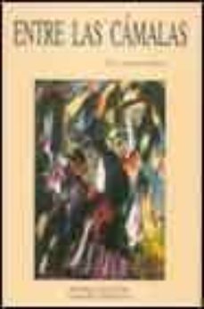 entre las camaras-raul alberto bravo-9788485498840