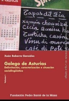 galego de asturias: delimitacion, caracterizacion e situacion soc iolinguistica (2 vols.)-9788495892140