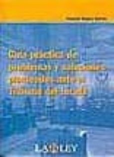 guia practica de problemas y soluciones planteados ante el tribun al del jurado-9788497255240