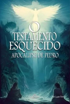 o testamento esquecido (ebook)-luan ferr-9798224213740