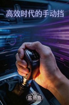 (ebook)-9798233703140