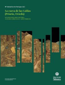 los grabados exteriores de la cueva de las caldas (priorio, oviedo, españa) (ebook)-mª soledad corchon rodriguez corchon rodriguez-eh0166p427440