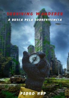 -pedro henrique borges pena-3410003432550