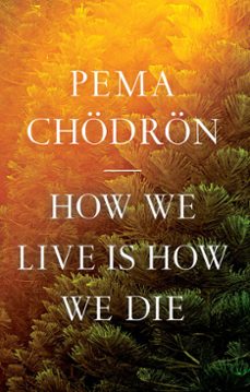 -pema chodron-9780834844650