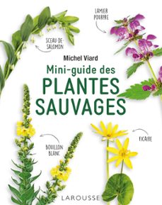 -michel viard-9782036012950
