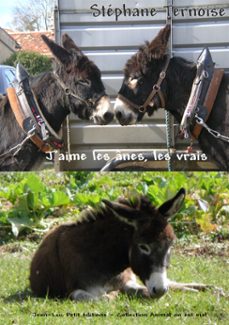 -stéphane ternoise-9782365413350