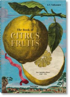 j. c. volkamer. the book of citrus fruits-iris lauterbach-9783836535250