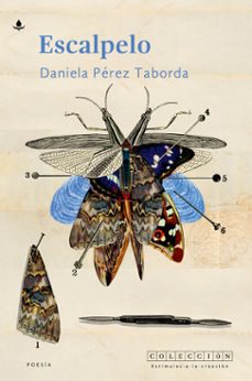 escalpelo (ebook)-daniela pérez taborda-9786287729650