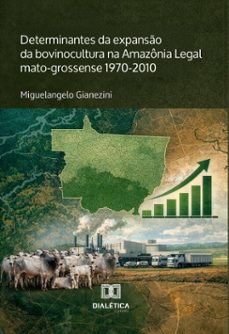 -miguelangelo gianezini-9786528800650