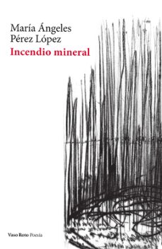 incendio mineral-9788412348750