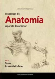 cuadernos de anatomía. aparato locomotor-jesus benito rodriguez-9788413401850