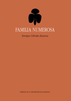familia numerosa-enrique cebrian zazurca-9788413402550