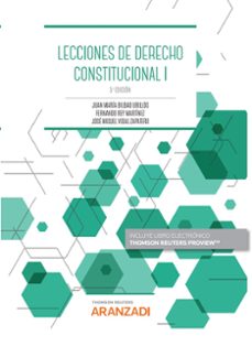 lecciones de derecho constitucional i-9788413914350