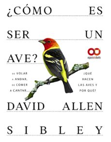 ¿cómo es ser un ave? de volar a anidar, de comer a cantar... ¿que hacen las aves y por que? (espacios de diseño)-david allen sibley-9788441549050